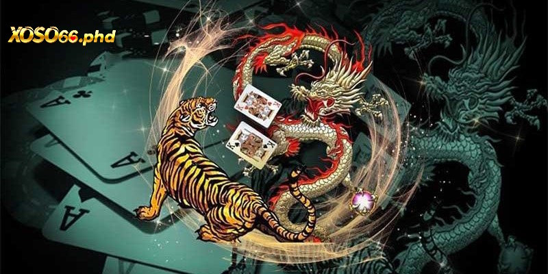 Chia sẻ bí kíp chơi rồng hổ cực kỳ hiệu quả