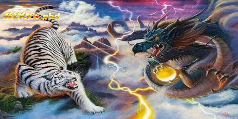 Giới thiệu chung về bộ môn rồng hổ