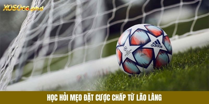 Học hỏi mẹo đặt cược chấp từ lão làng